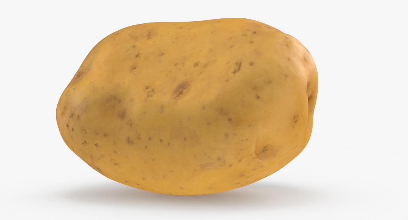 3D model Potato