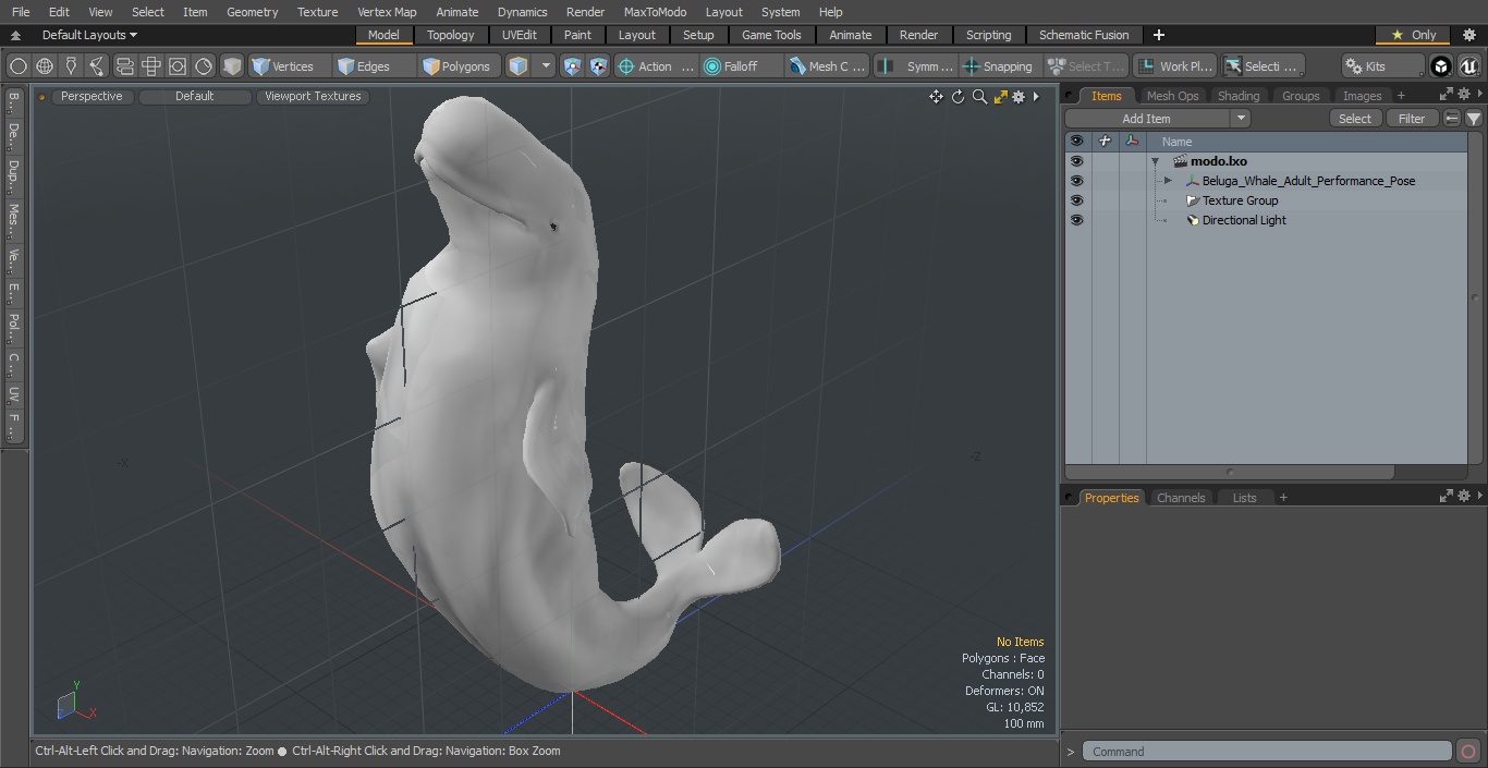 3D model Beluga Whale Adult Performance Pose