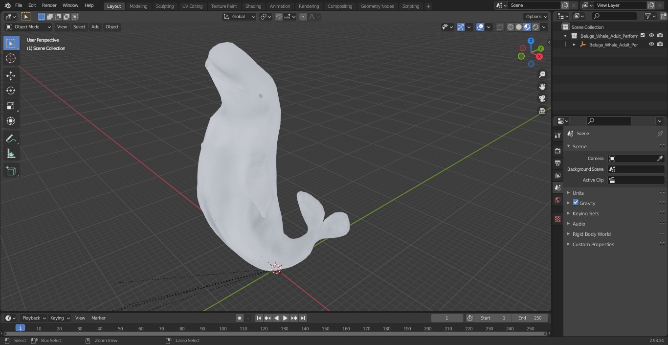 3D model Beluga Whale Adult Performance Pose