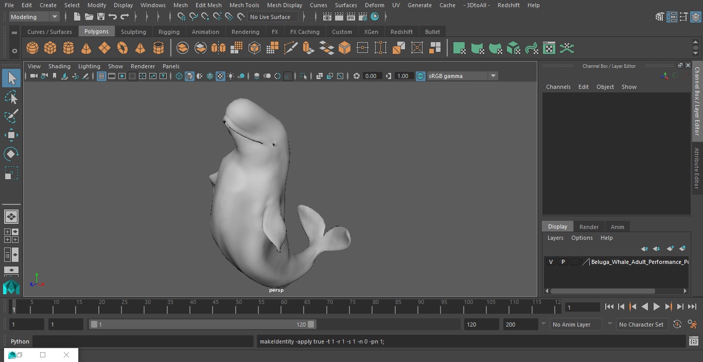 3D model Beluga Whale Adult Performance Pose