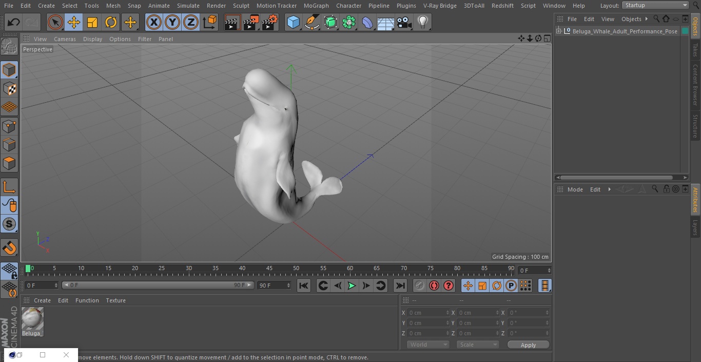 3D model Beluga Whale Adult Performance Pose