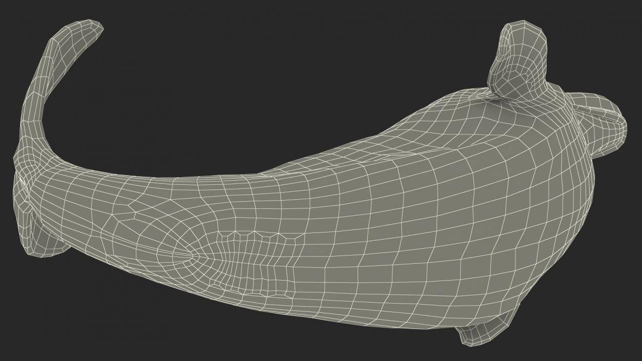 3D model Beluga Whale Adult Performance Pose