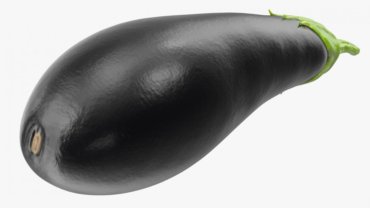 3D model Globe Eggplant Black