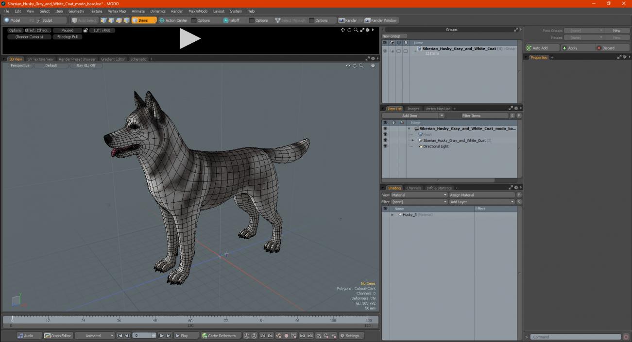 Siberian Husky Gray and White Coat 3D model