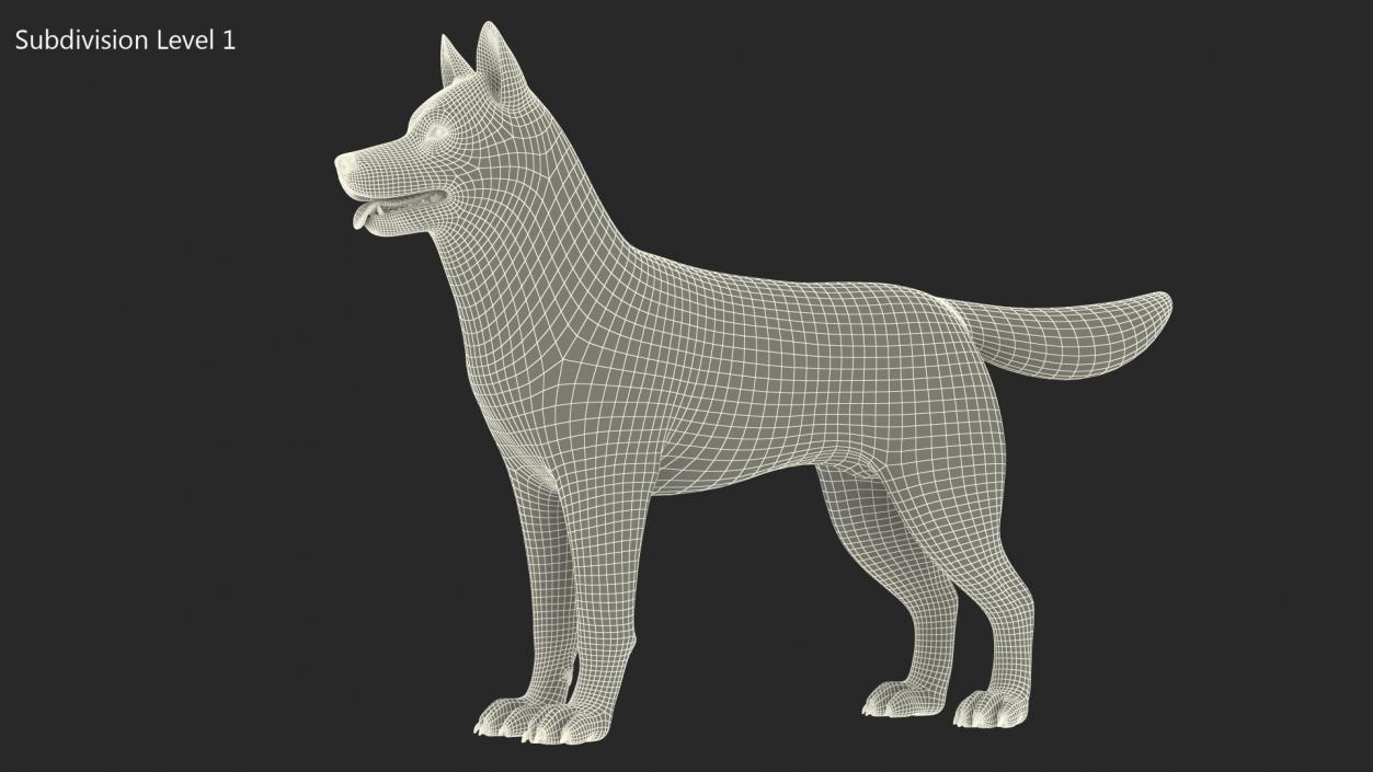 Siberian Husky Gray and White Coat 3D model