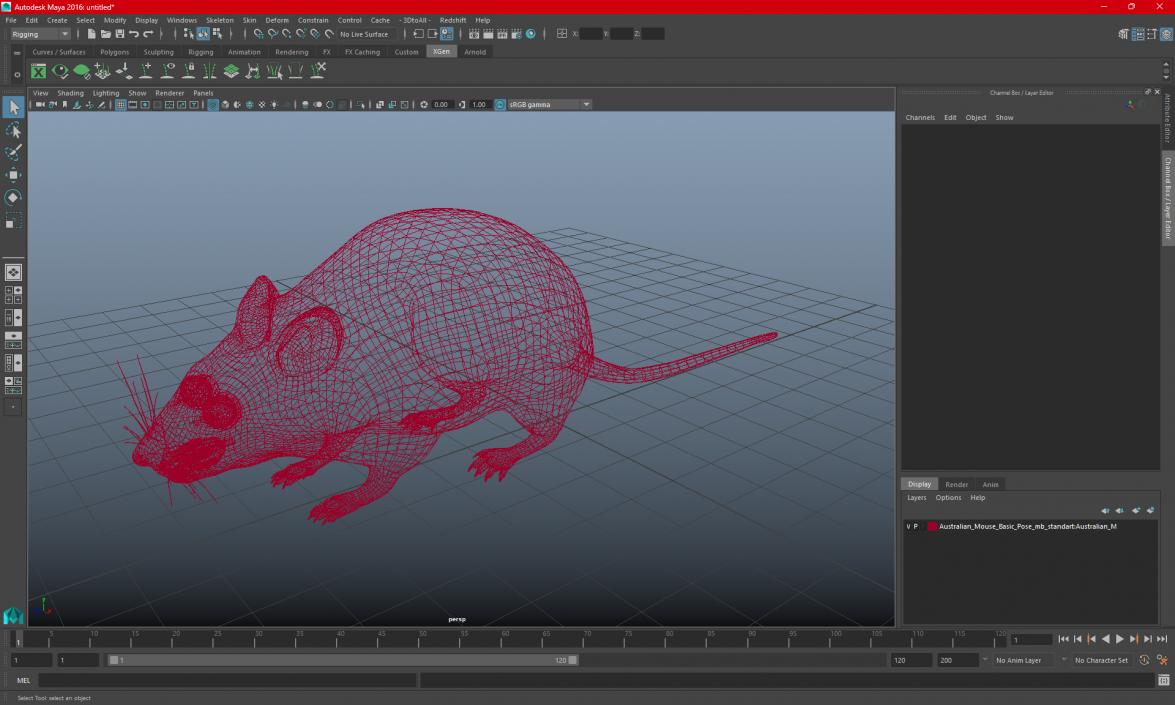 Australian Mouse Basic Pose 3D