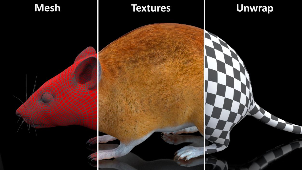 Australian Mouse Basic Pose 3D