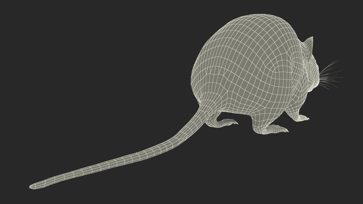 Australian Mouse Basic Pose 3D