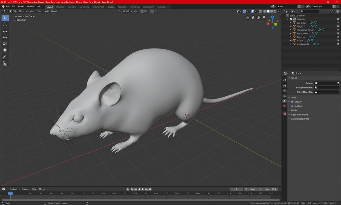 Australian Mouse Basic Pose 3D