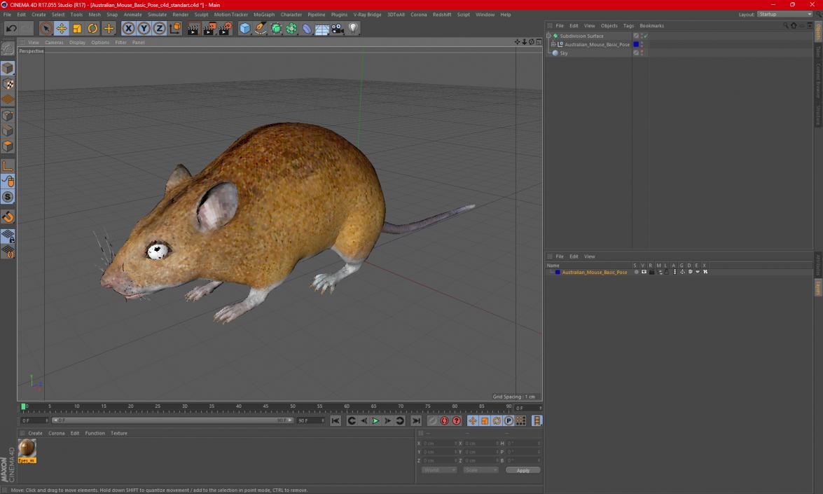 Australian Mouse Basic Pose 3D