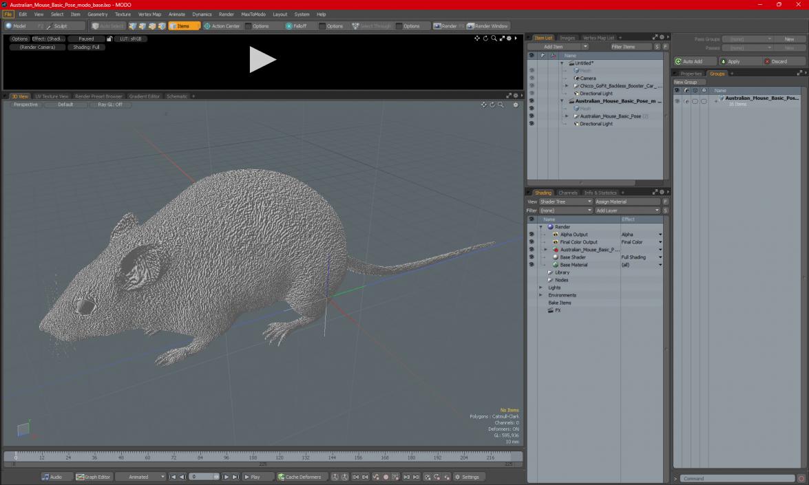 Australian Mouse Basic Pose 3D