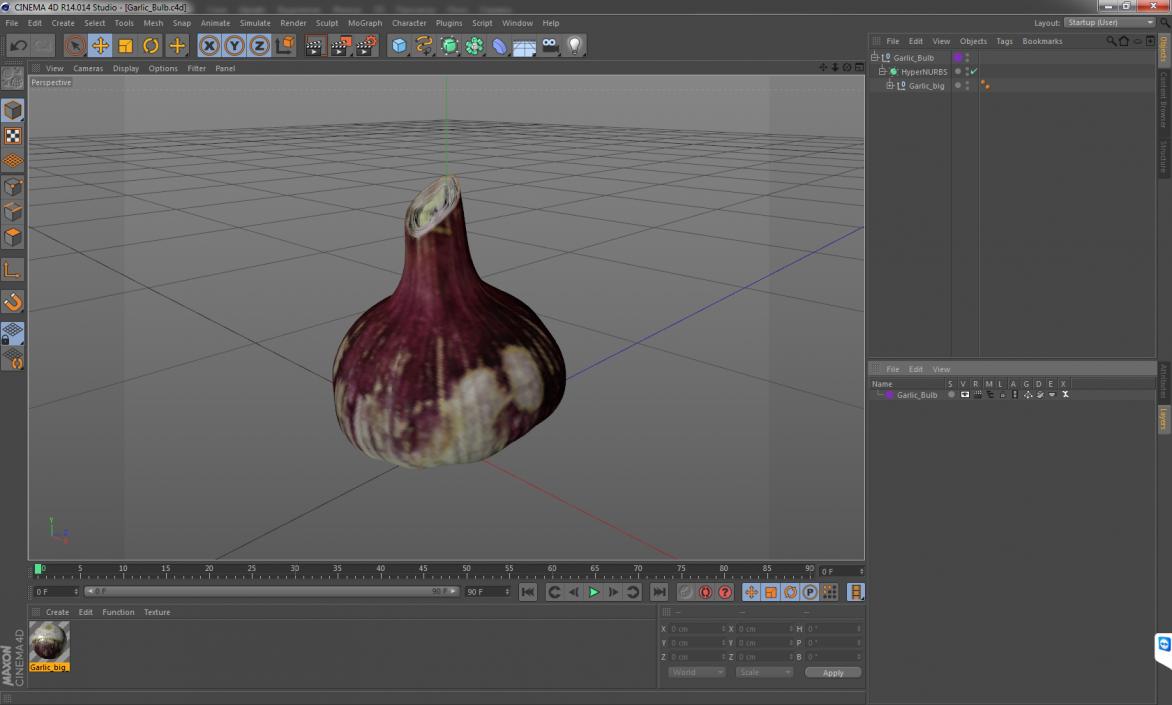 3D Garlic Bulb