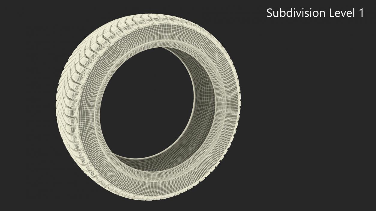 Michelin Winter Spikes-Tire 3D