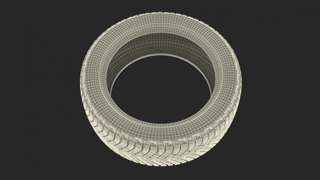 Michelin Winter Spikes-Tire 3D