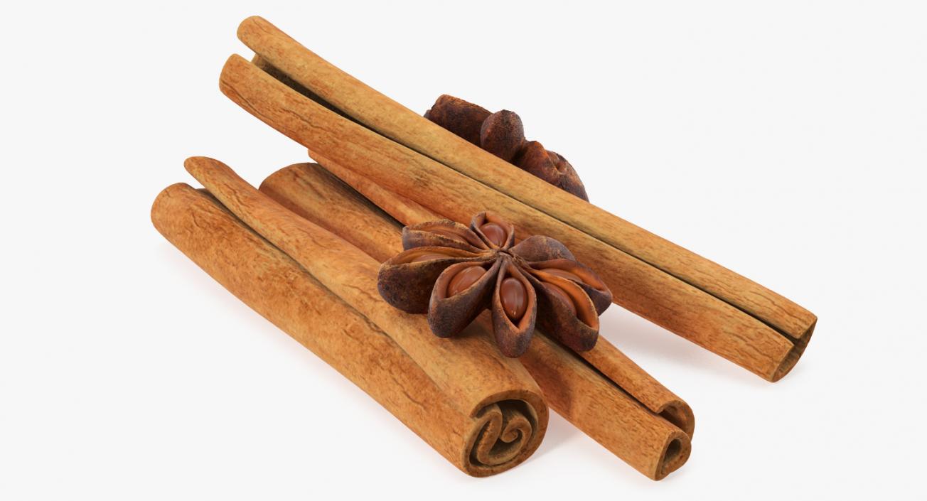 3D model Stick Cinnamon And Star Anise Spice