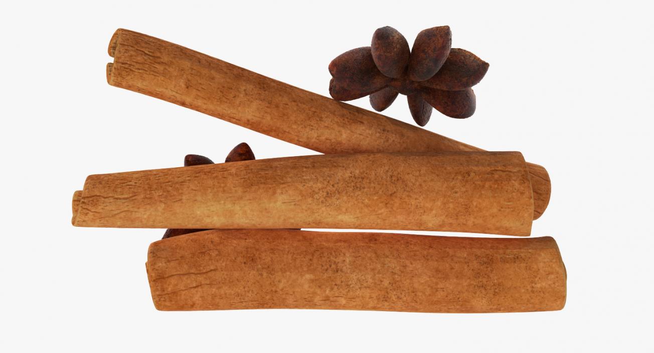 3D model Stick Cinnamon And Star Anise Spice