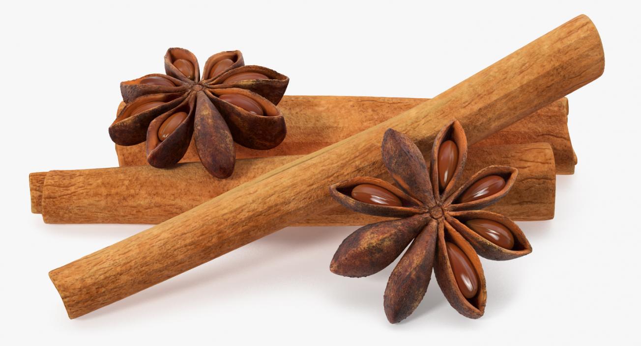 3D model Stick Cinnamon And Star Anise Spice