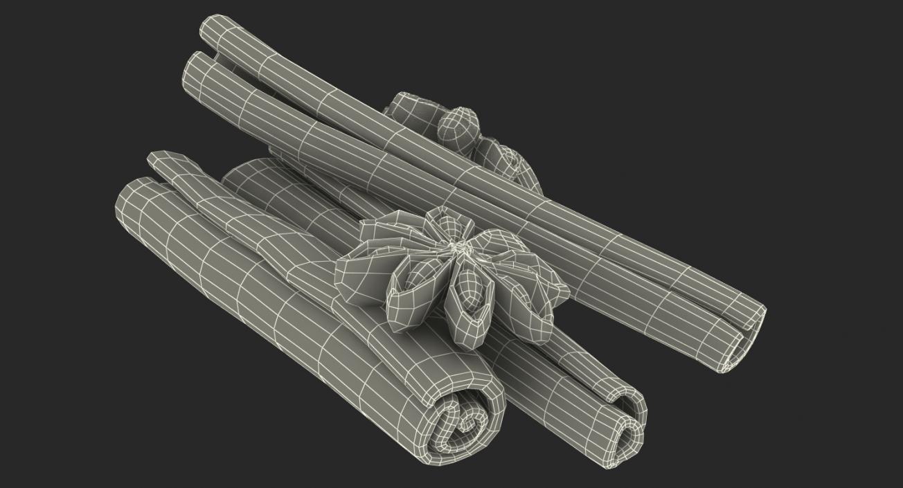 3D model Stick Cinnamon And Star Anise Spice