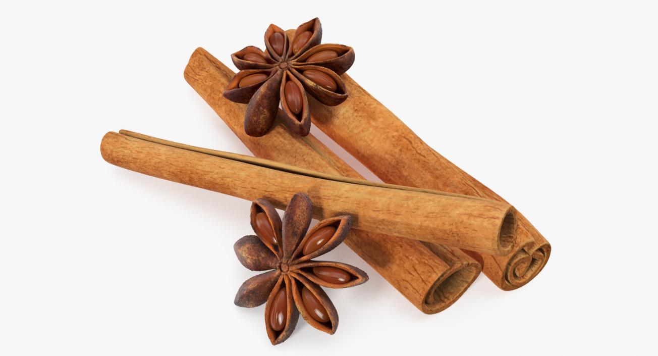 3D model Stick Cinnamon And Star Anise Spice