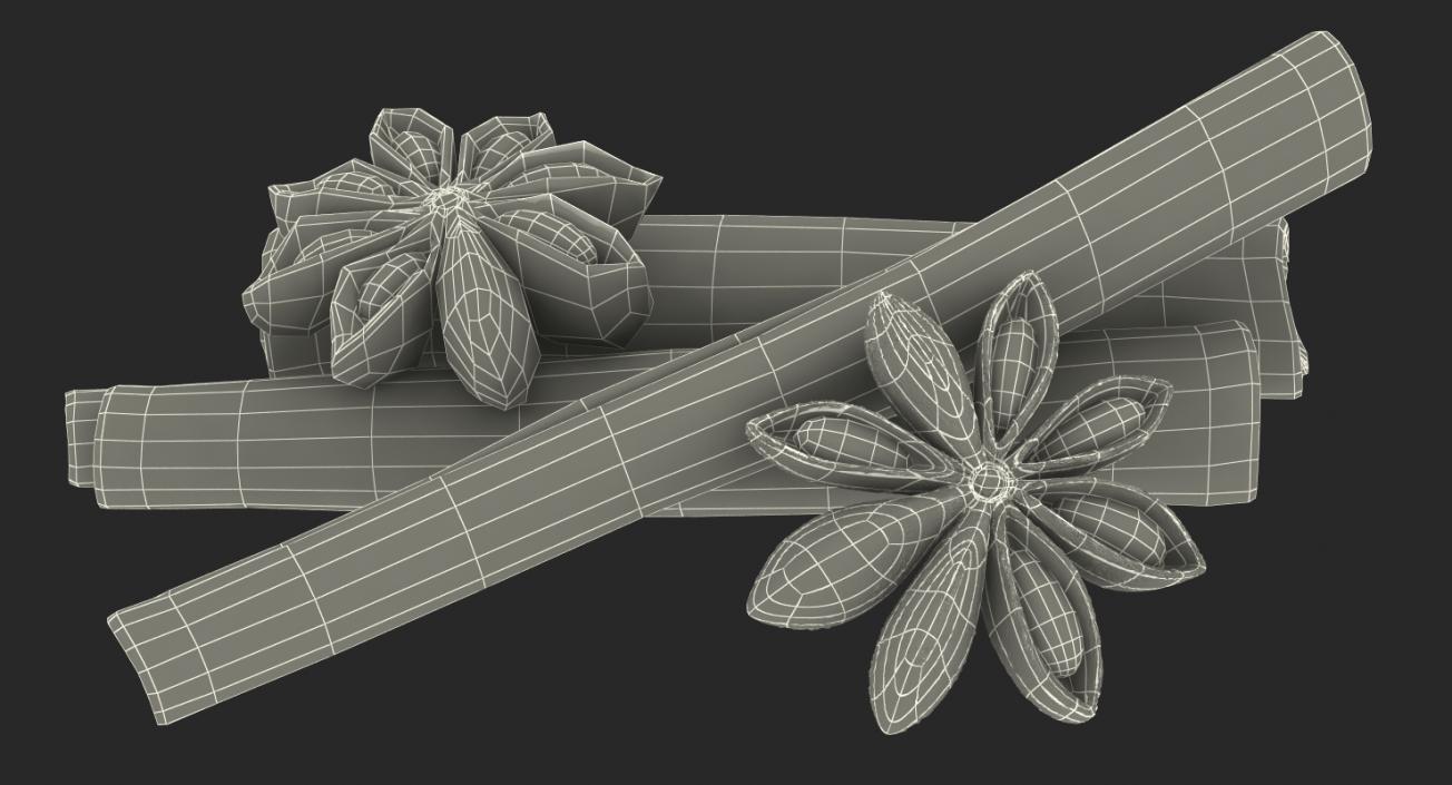 3D model Stick Cinnamon And Star Anise Spice