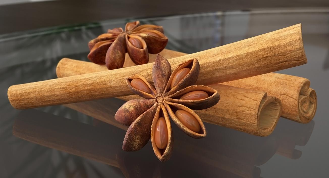 3D model Stick Cinnamon And Star Anise Spice