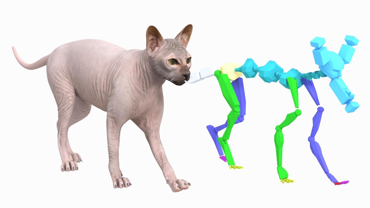 3D Dark Cream Sphynx Cat Rigged model