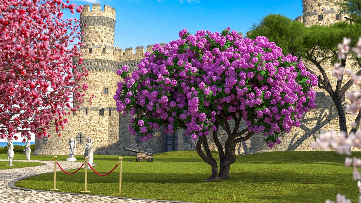 3D Rhododendron Purple Flower Tree