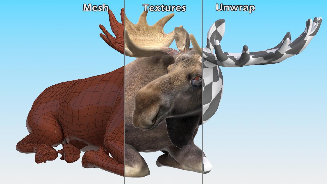 3D Lying Moose No Fur model