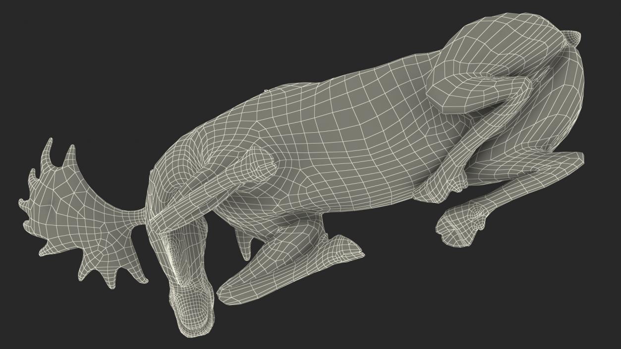 3D Lying Moose No Fur model