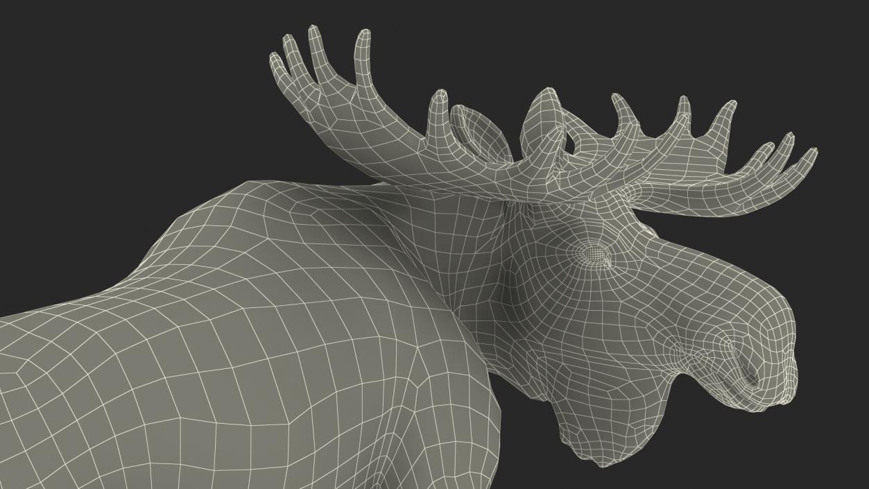 3D Lying Moose No Fur model