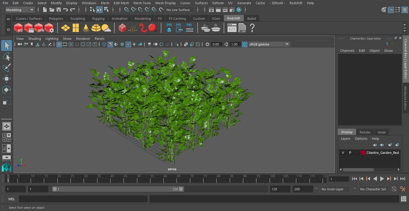 Cilantro Garden Bed 3D model