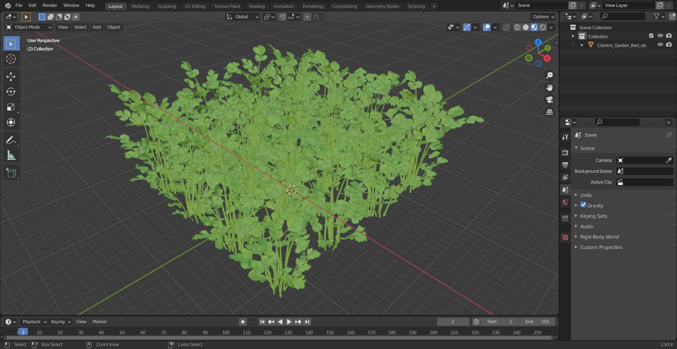 Cilantro Garden Bed 3D model