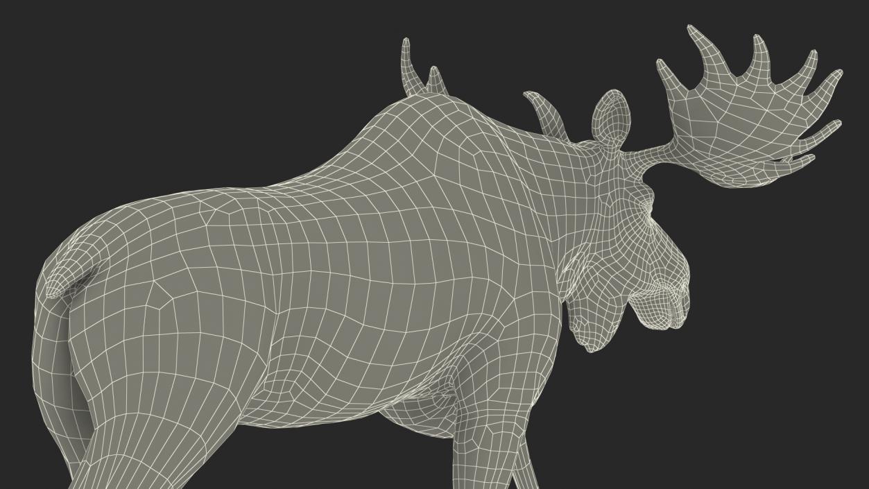 Walking Moose Fur 3D