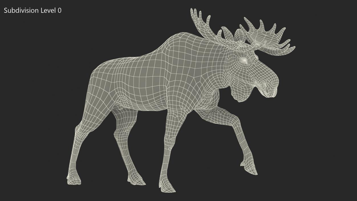 Walking Moose Fur 3D