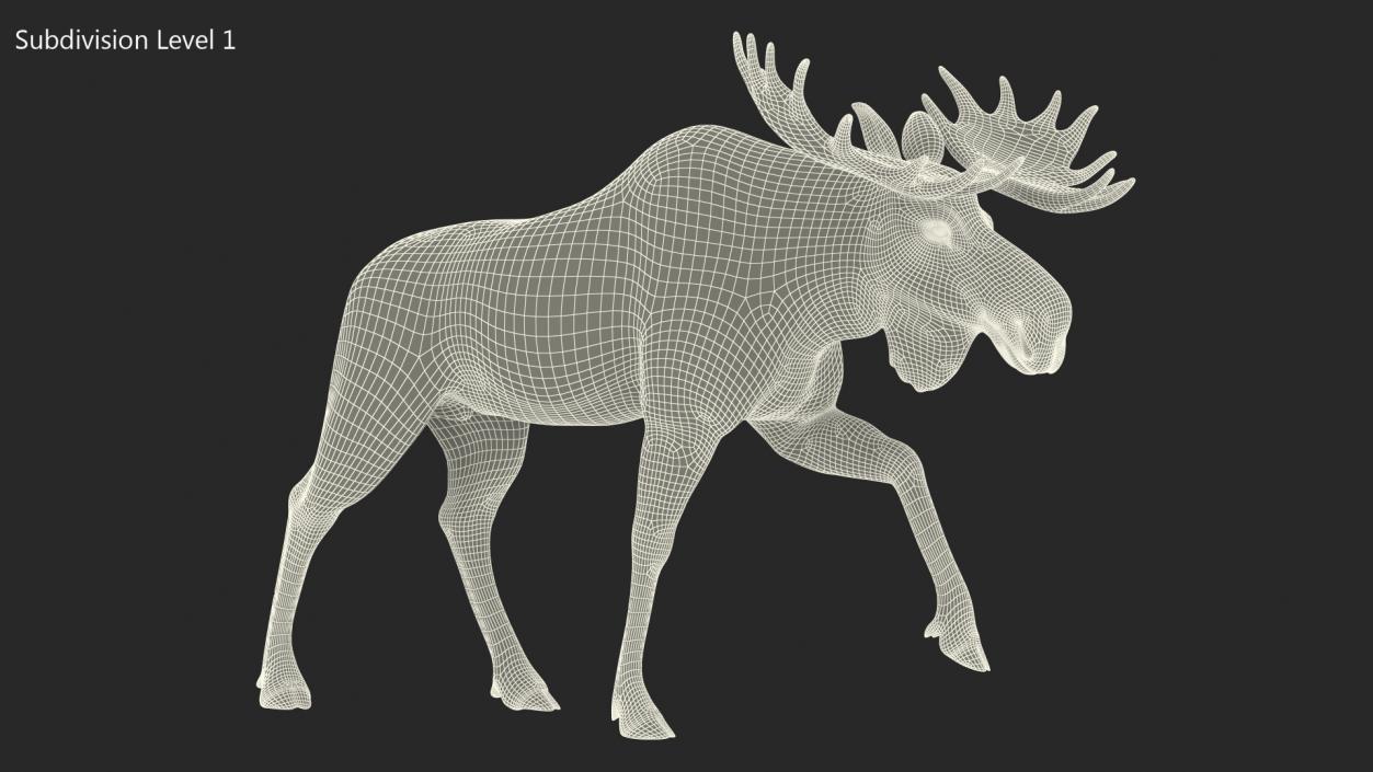 Walking Moose Fur 3D