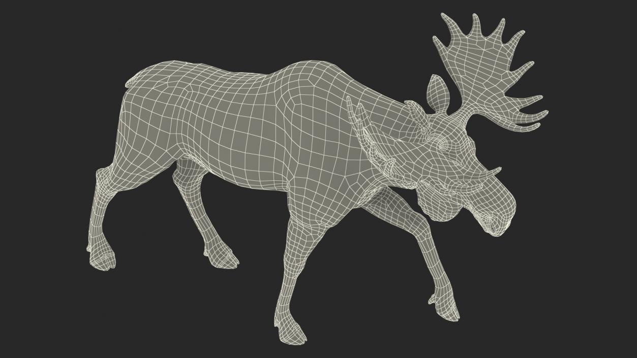 Walking Moose Fur 3D