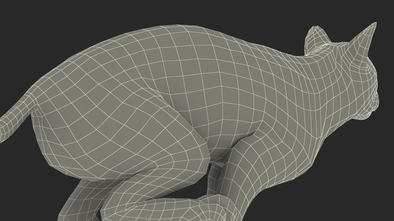 3D Lynx Running Fur