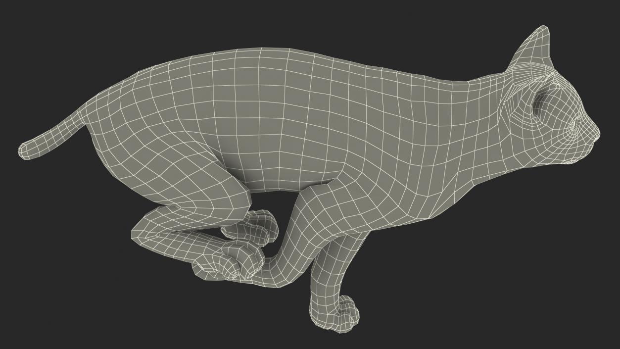 3D Lynx Running Fur