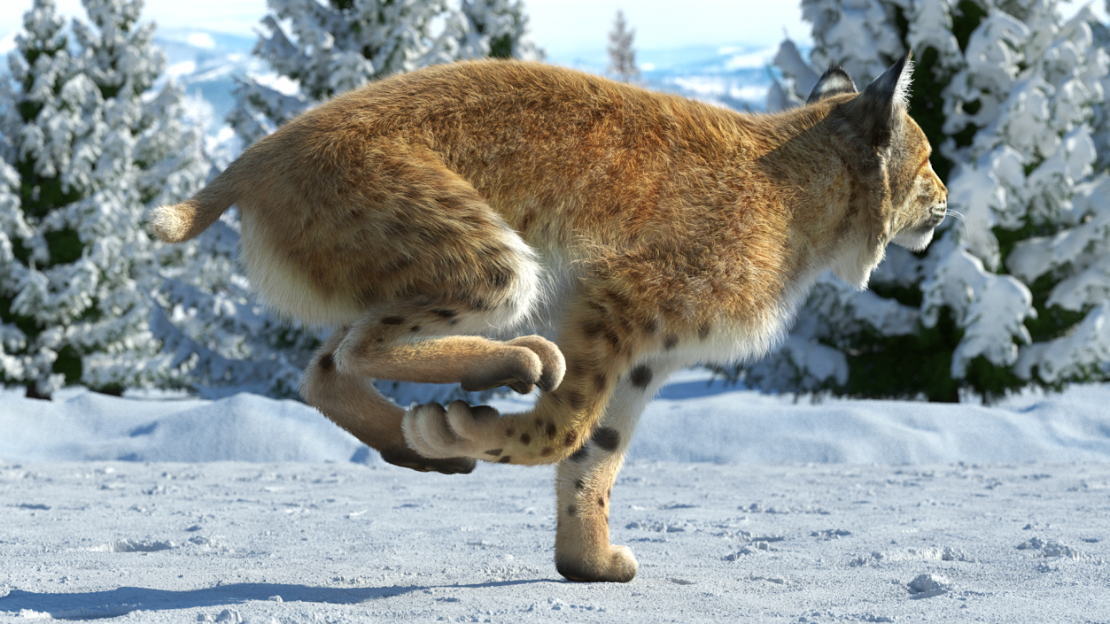 3D Lynx Running Fur