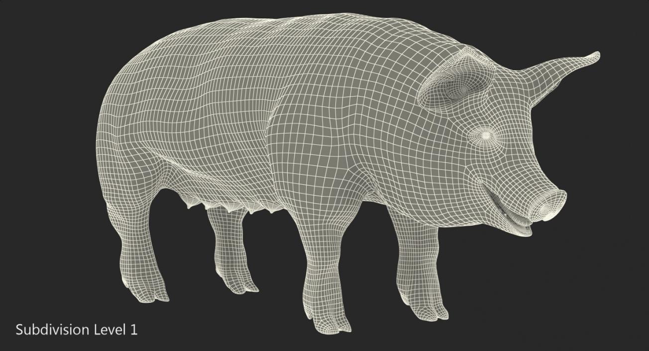 3D Hampshire Pig Sow with Fur Rigged model