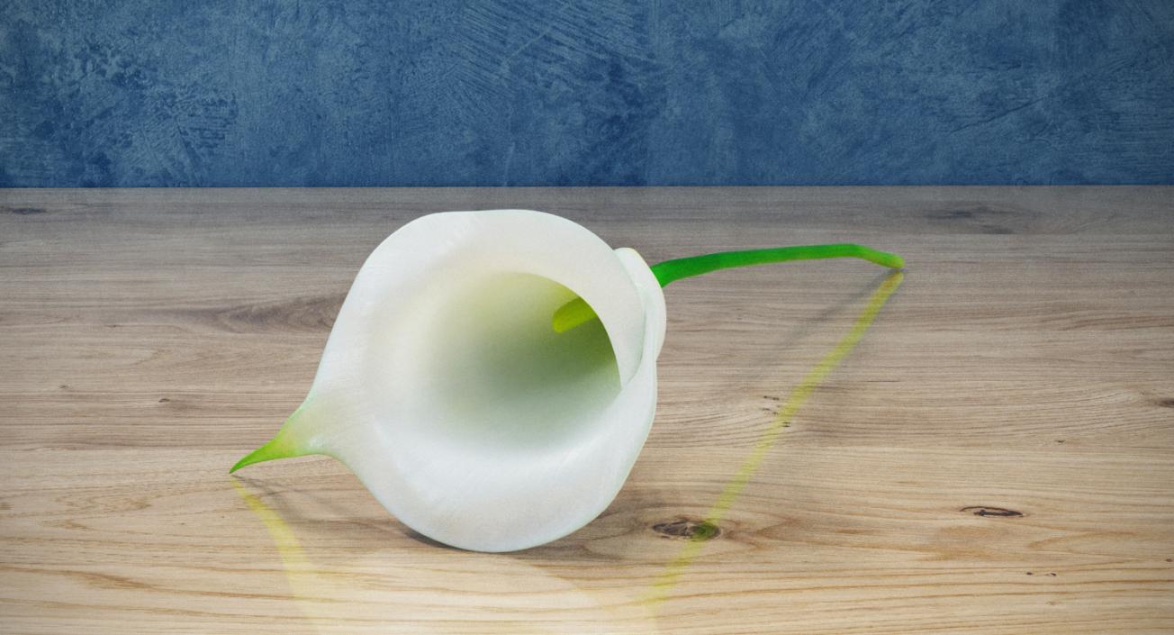 Calla Flower 3D