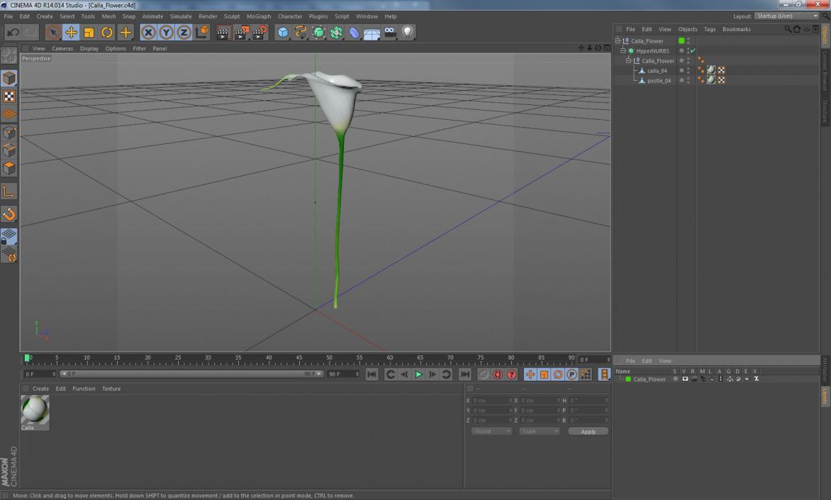 Calla Flower 3D