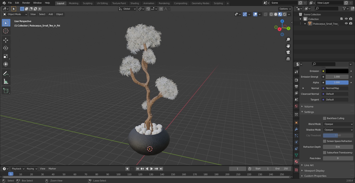 3D Podocarpus Small Tree in Pot model