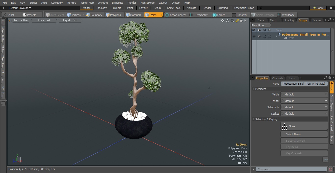 3D Podocarpus Small Tree in Pot model