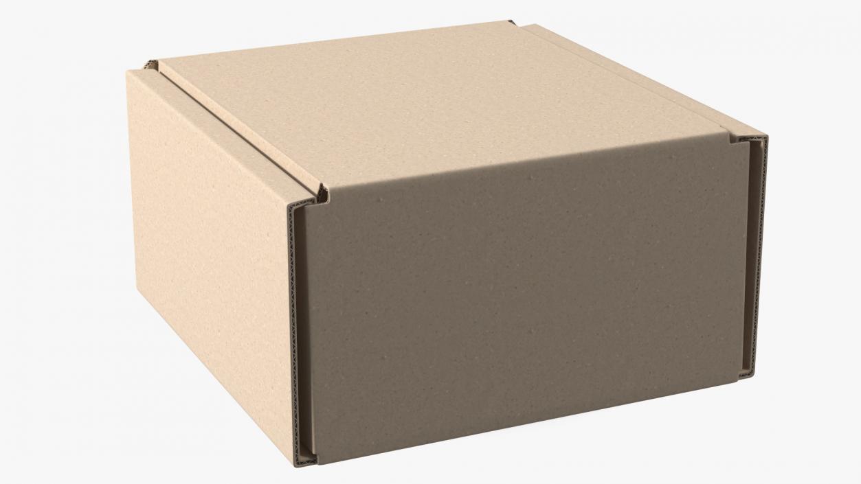 3D model Cardboard Box Closed