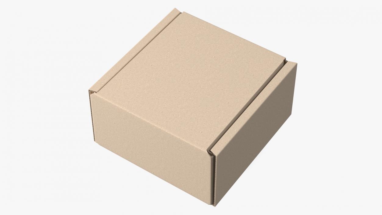 3D model Cardboard Box Closed