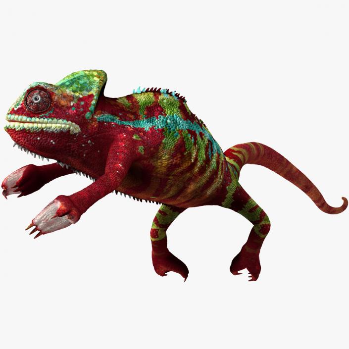 Chameleon Red Rigged for Maya 3D model