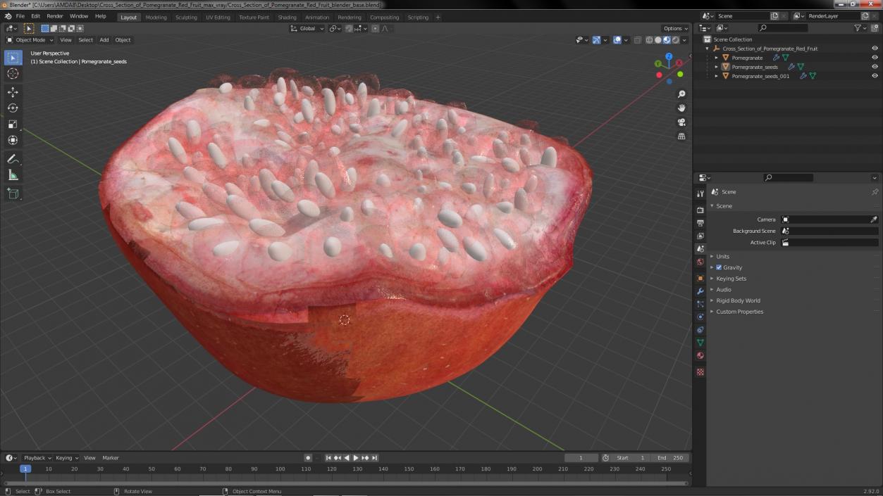 3D Cross Section of Pomegranate Red Fruit model