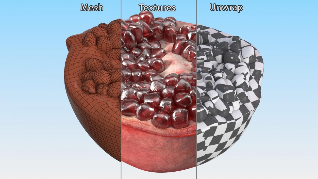 3D Cross Section of Pomegranate Red Fruit model