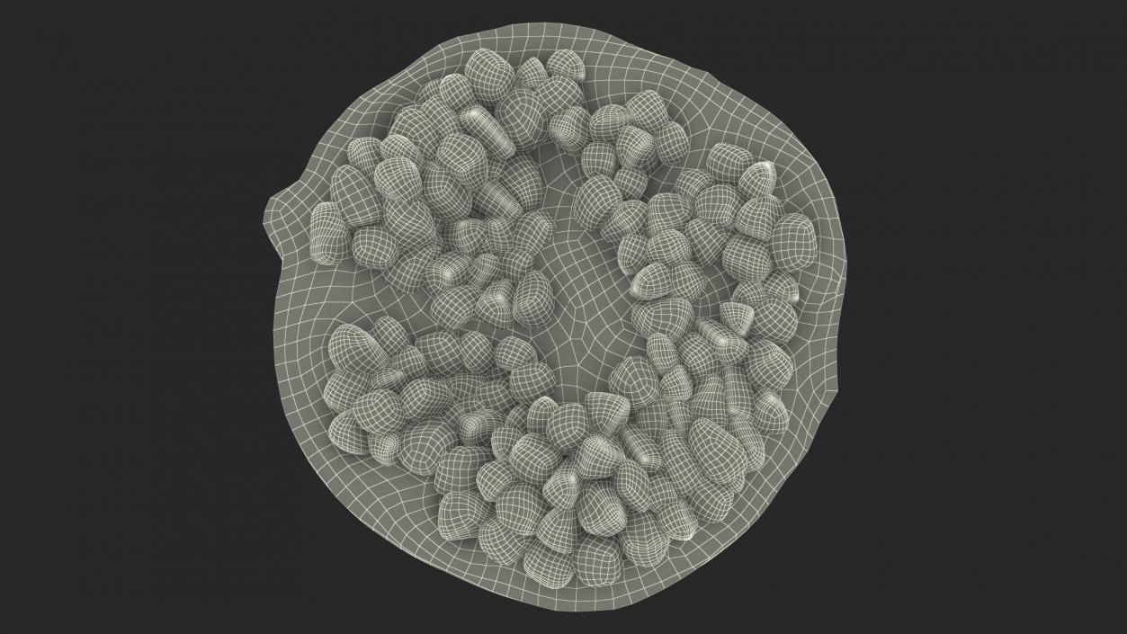 3D Cross Section of Pomegranate Red Fruit model